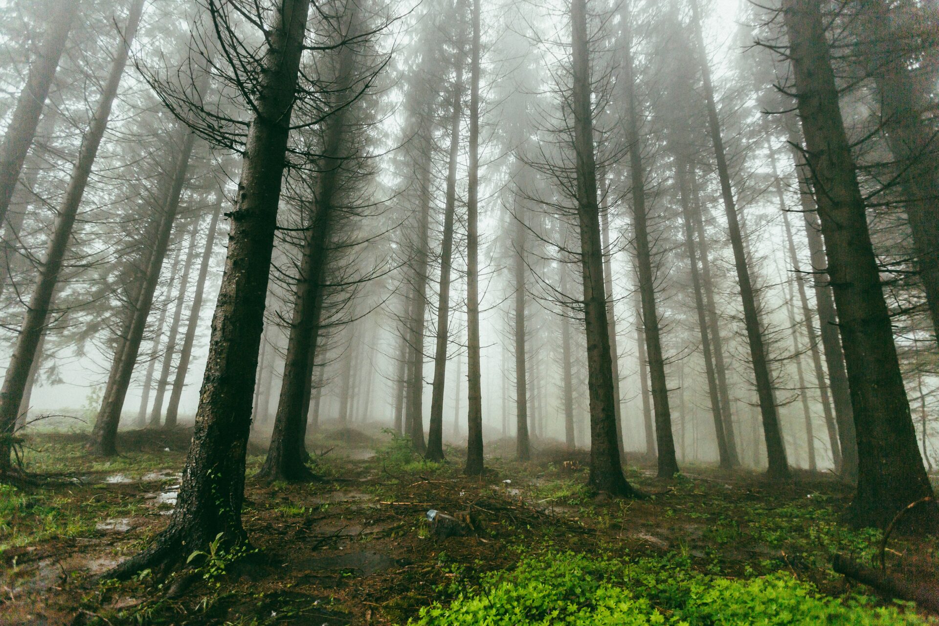 filip-zrnzevic-G-NWC_N6pUI-unsplash Türk Pasaportu ile Vizesiz Seyahat Edebileceğiniz 10 Ülke