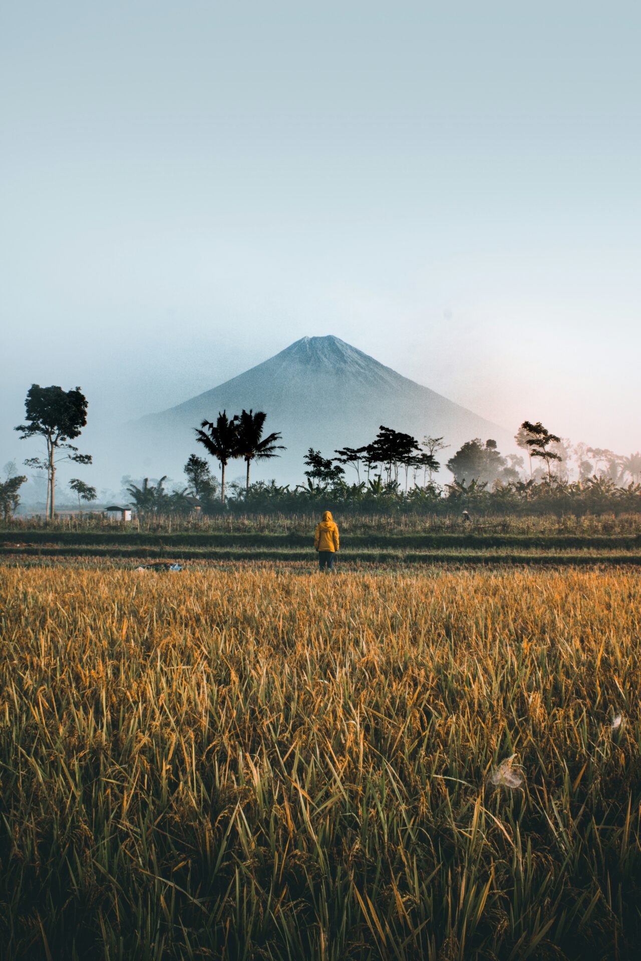 ifan-bima-B04Xpnu5JQ4-unsplash Türk Pasaportu ile Vizesiz Seyahat Edebileceğiniz 10 Ülke