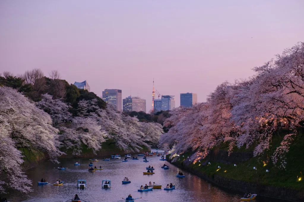 yu-kato-824OwkP7sgk-unsplash-1024x683 Japonya Hakkında 10 İlginç Bilgi